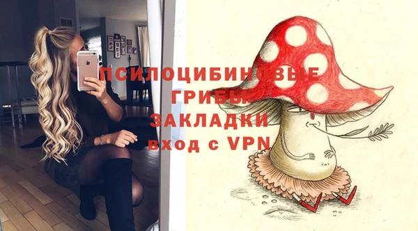 Альфа ПВП Богородицк