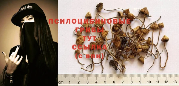 альфа пвп VHQ Богданович